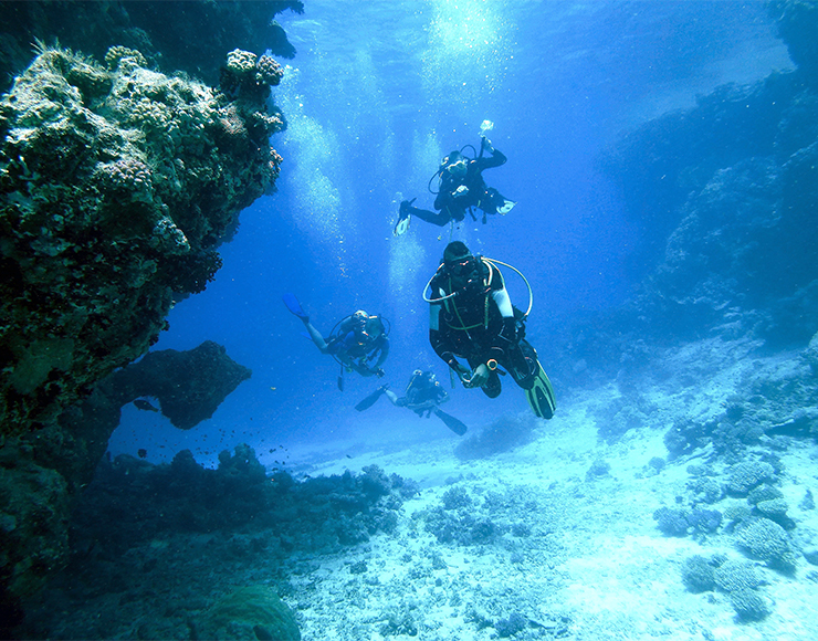 Scuba Dive in St Lucia