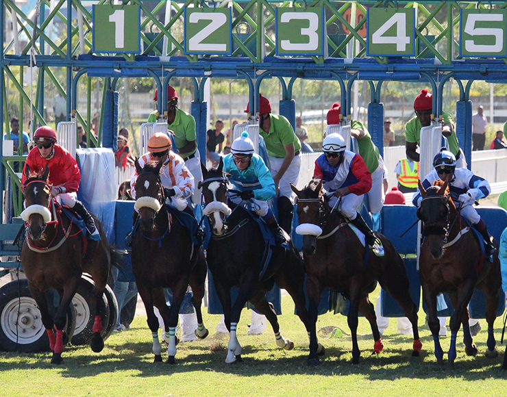Horse Racing in Mauritius