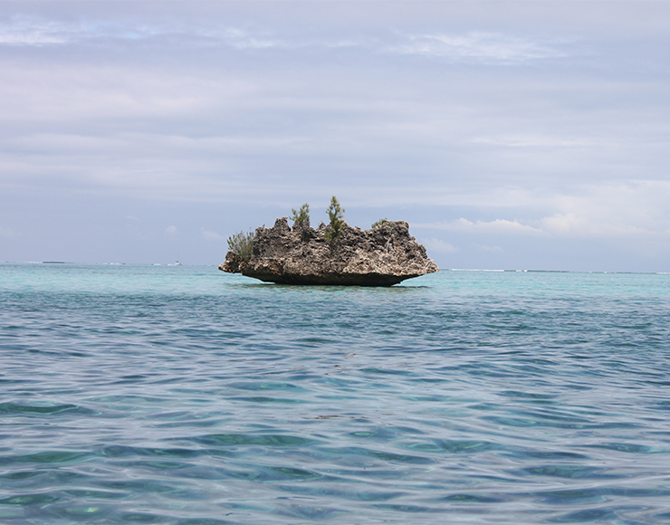 Little Islands in Mauritius