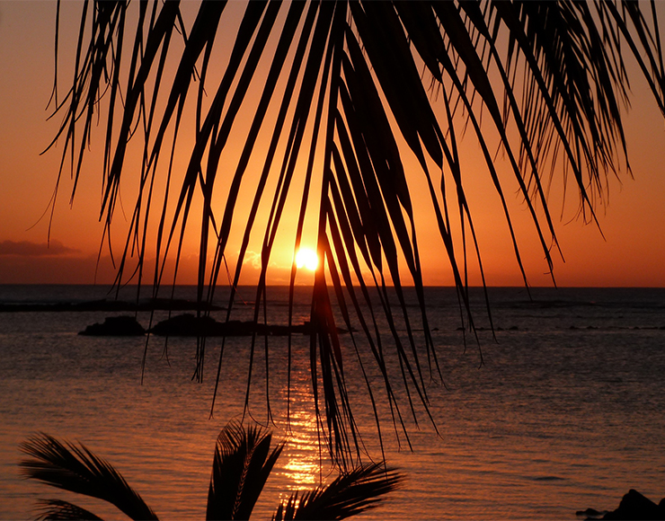 Mauritian Sunset