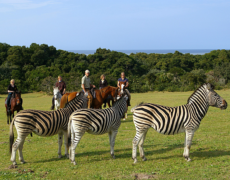 Horseback Safari South Africa