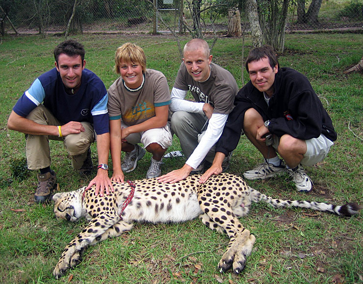 Cheetah Encounter South Africa
