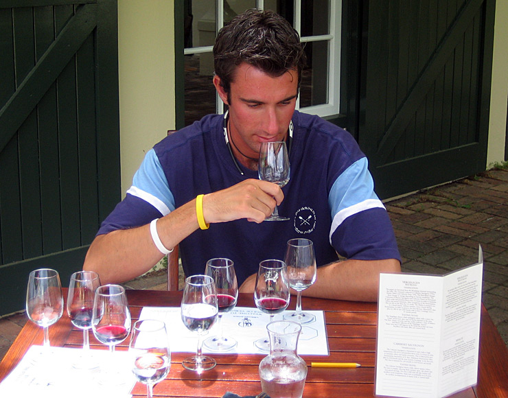 Wine Tasting in South Africa