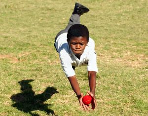 Cricket