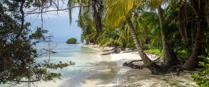 Caribbean